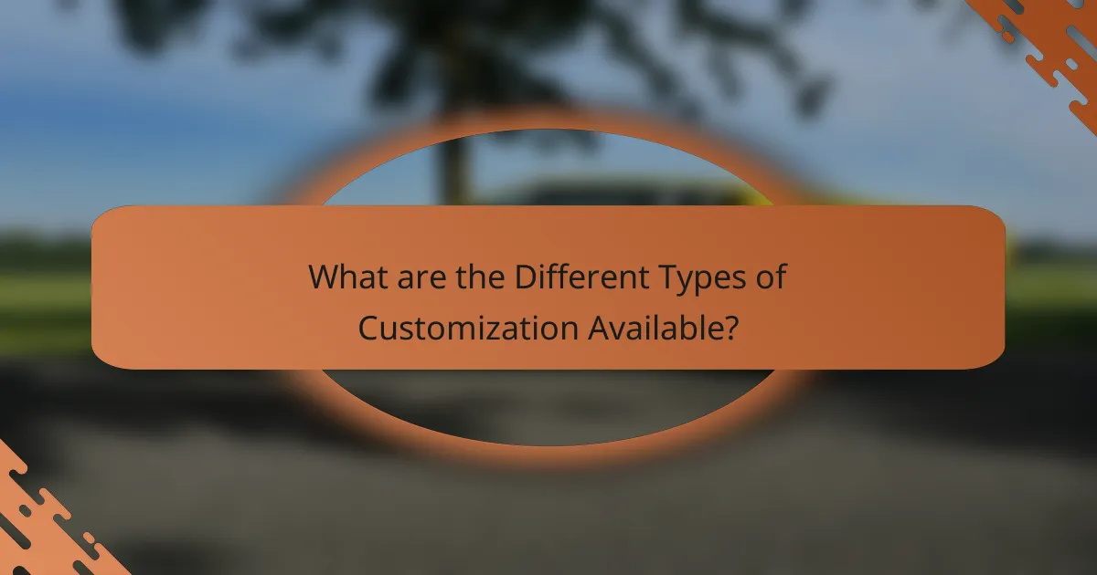 What are the Different Types of Customization Available?
